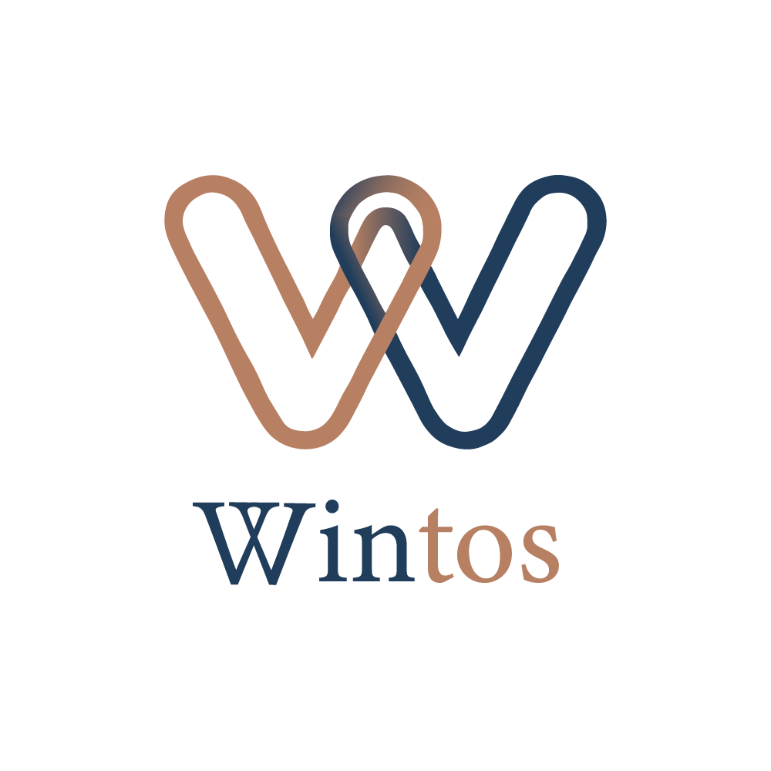 Wintos ロゴビジュアル