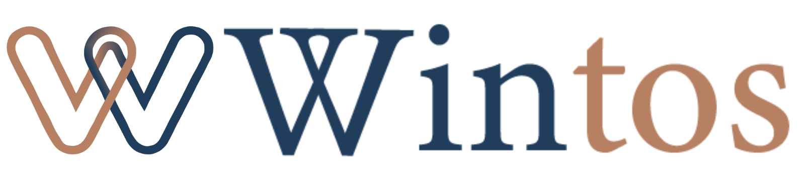高知のホームページ制作・Web集客・運用代行・コンサルティングならWintos